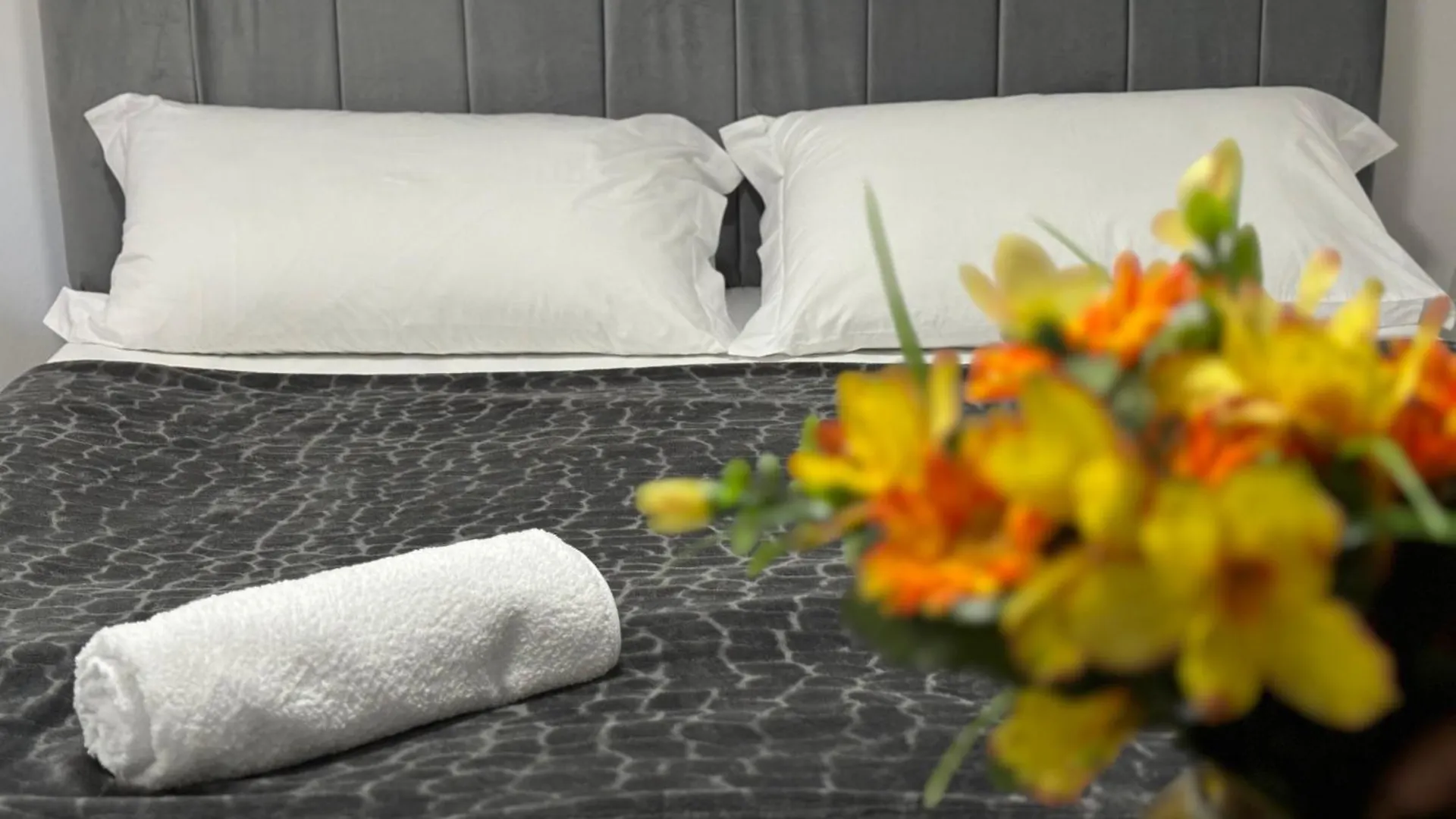 Vacation Studio By Andrea Tirana Guest house